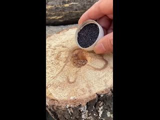 Вот как можно разжечь огонь при помощи марганцовки и сахара.   1. Марганцовка (кристаллы перманганата калия) - это... (видео)