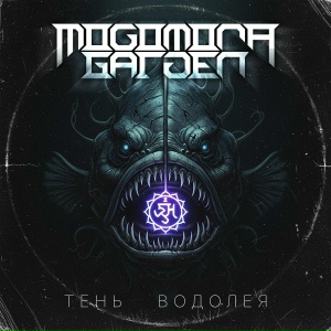 Тень водолея